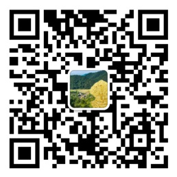盈彩网下载安装